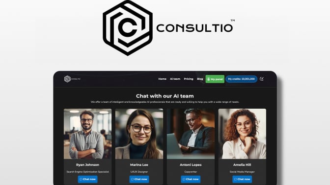 AI consultants