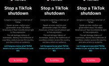 A screenshot of a TikTok popup