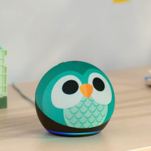 echo dot for kids 