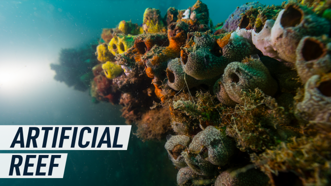 An underwater photograph shows marine organisms attached to the artificial reef. Caption reads: "Artificial reef"